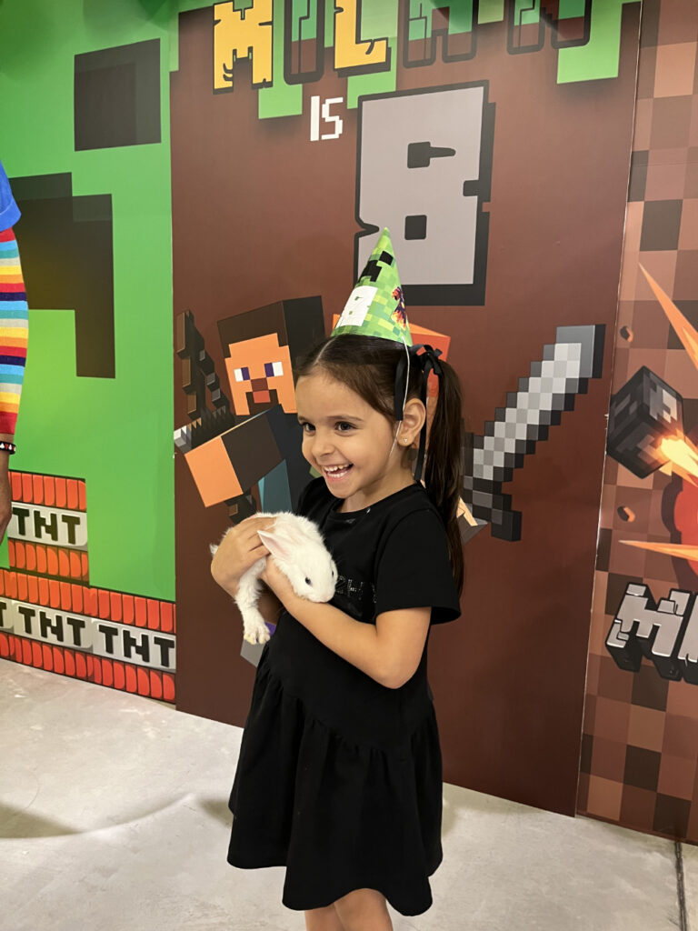 minecraft 206