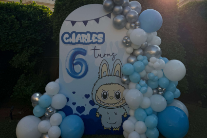 wild child gallery cover